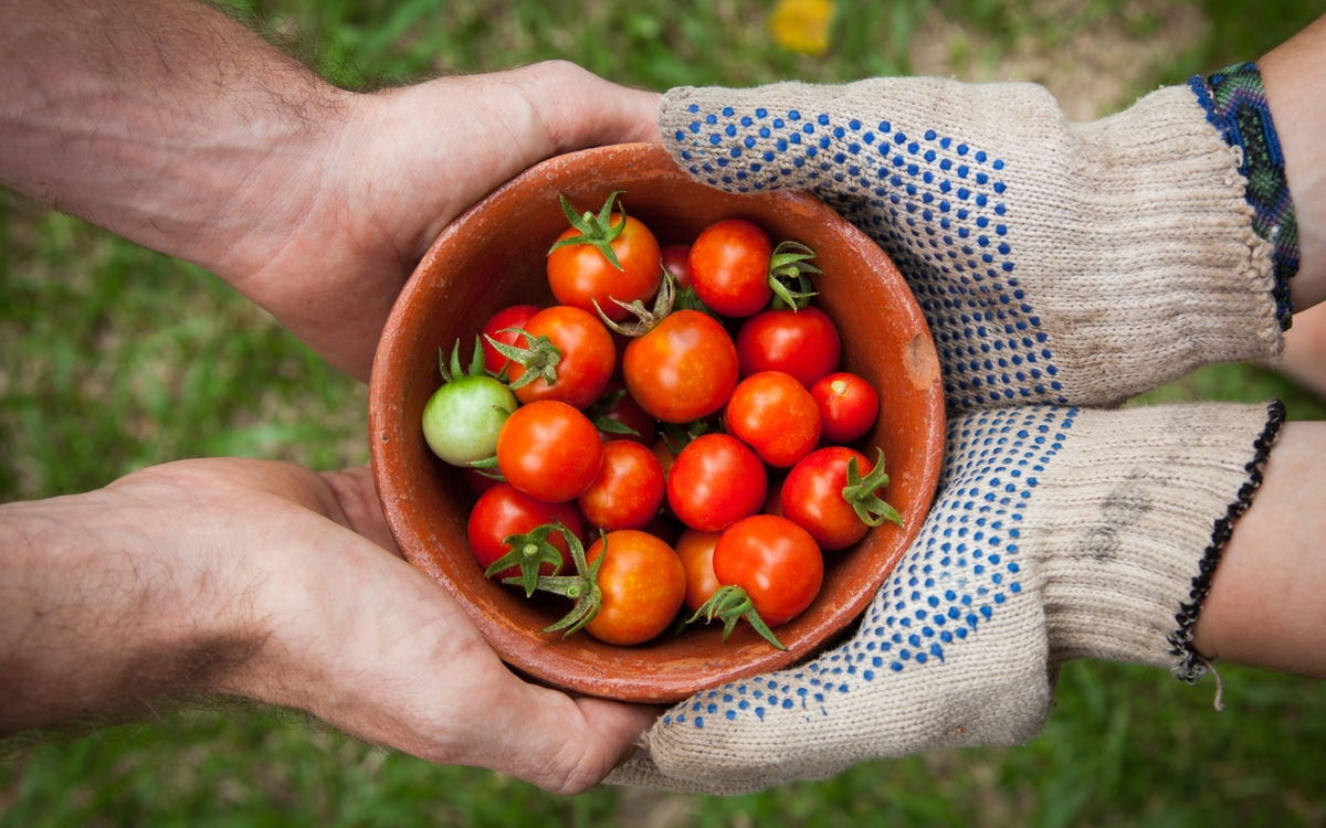 La Fresque Agri'Alim : un atelier collaboratif pour comprendre les enjeux de notre agriculture et de notre alimentation.