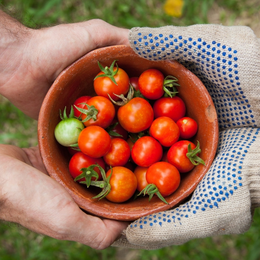Fresque Agri'Alim : découvrez les enjeux de notre alimentation