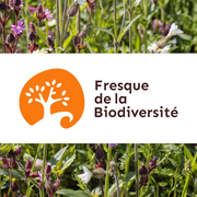 Fresque de la biodiversité