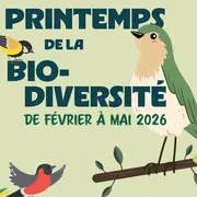 Fresque participative de la biodiversité - Représenter la flore