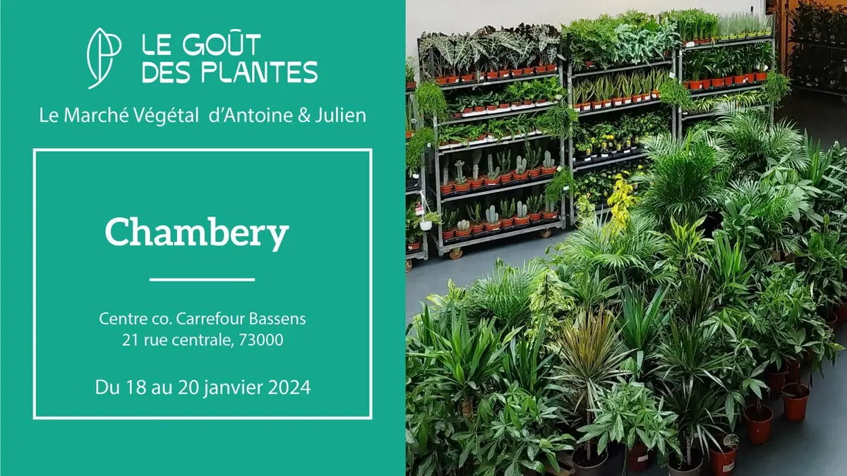 Friperie Géante X Grande Vente de Plantes // Carrefour Bassens Chambéry