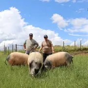Gaec De La Vache Noire - été à La Ferme -