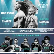 Gala De Boxe Anglaise Amateurs Et Professionnels