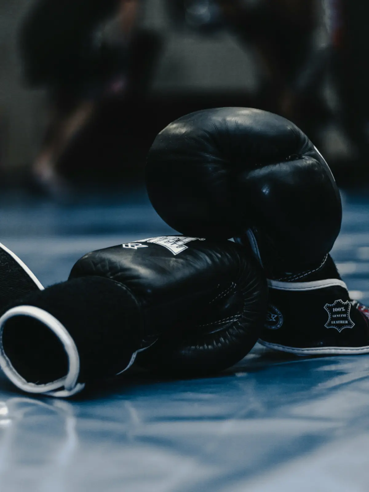 Gala de boxe des 15/16
