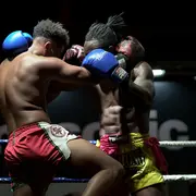 Gala de Boxe Muay Thaï