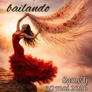 Gala De Flamenco