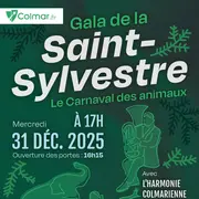 Gala de patinage artistique à Colmar pour la Saint-Sylvestre