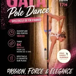Gala pole dance