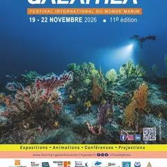 Galathéa 2026 : le festival dédié à la photographie et à la vidéo sous-marines à Hyères