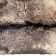 Galerie du Haut Pavé : Exposition Slava VORONTSOV