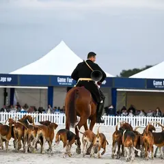 Game Fair 2026 : le plus grand salon chasse et nature