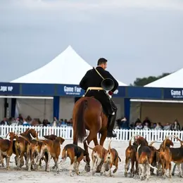 Game Fair 2026 : le plus grand salon chasse et nature