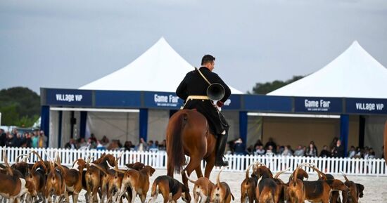[Coup de ❤️ JDS] Game Fair 2026 : le plus grand salon chasse et nature