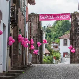 Garazi en rose : course pédestre caritative. 11ème édition