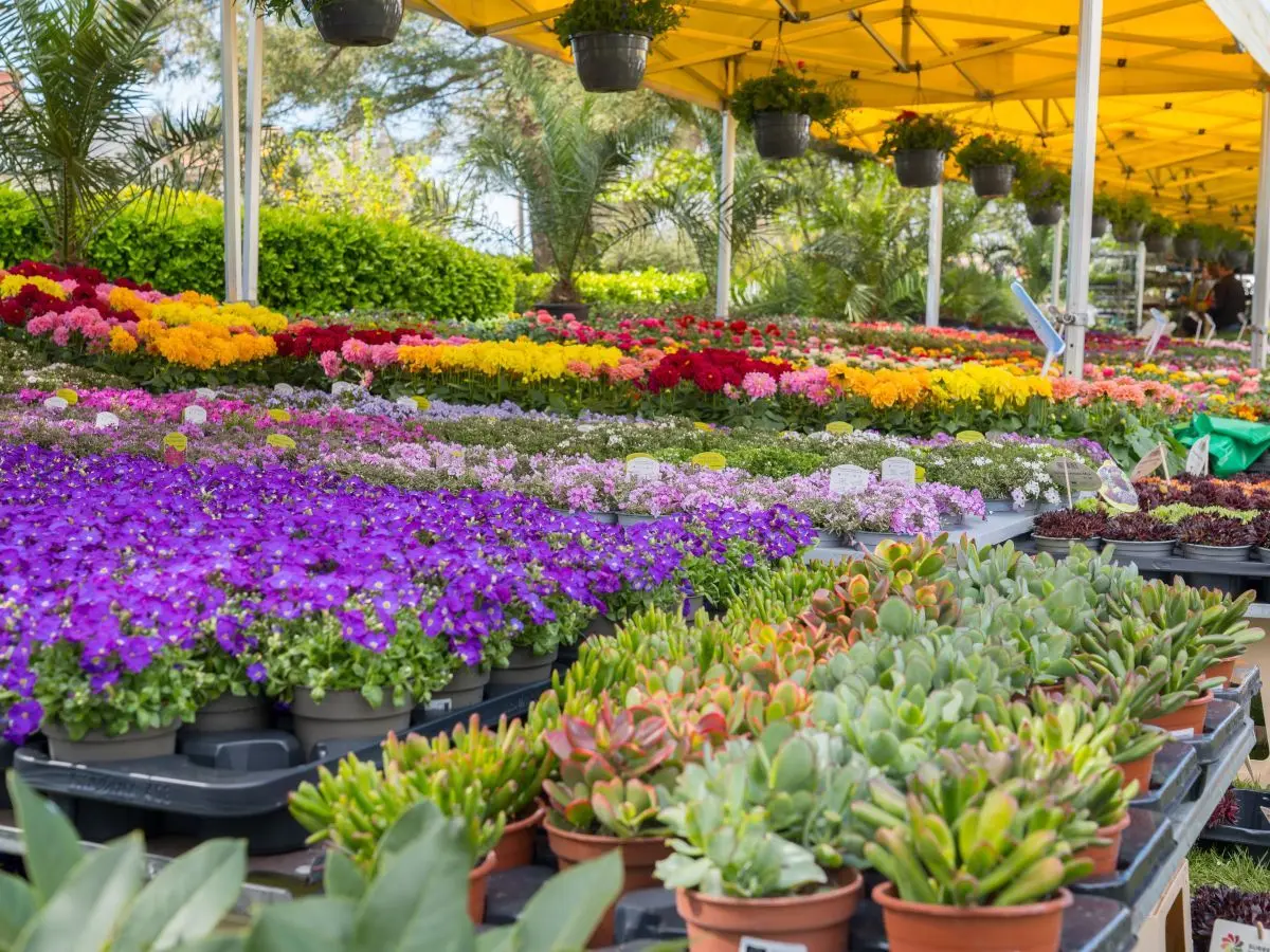 Garden en Fleurs