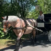 Gargantua en calèche