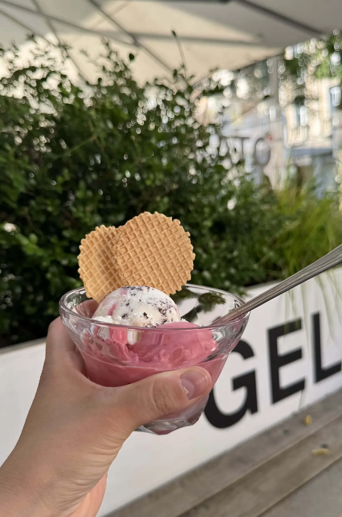 Gelato Glaces, Pasta & Pizza