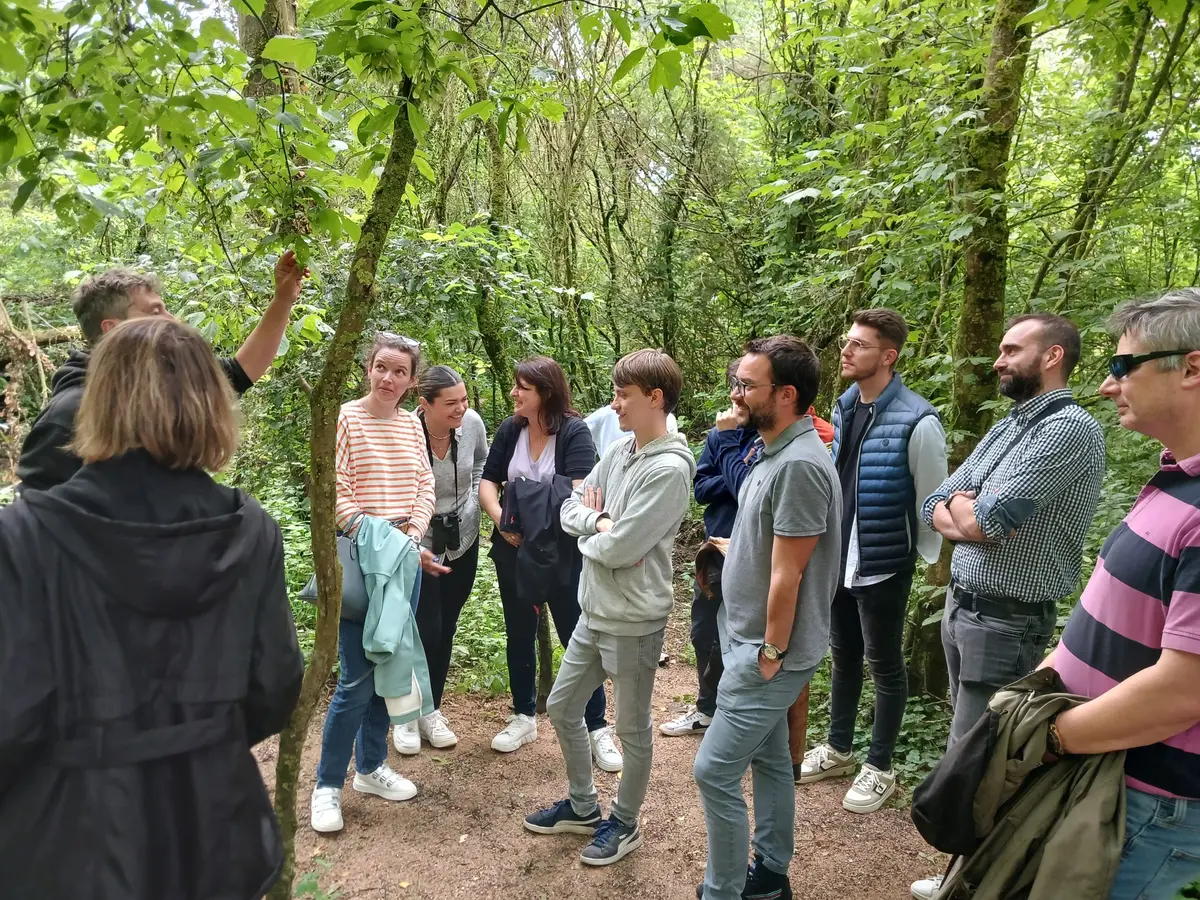 Génies de la nature : leurs super-pouvoirs !