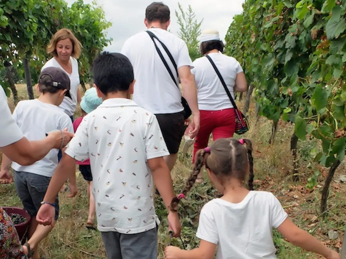 Géocaching Terra Aventura