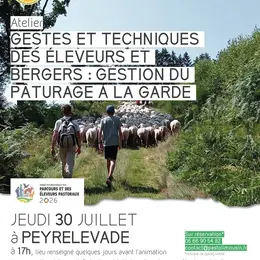 Gestes et techniques des éleveurs et bergers : gestion du pâturage à la garde