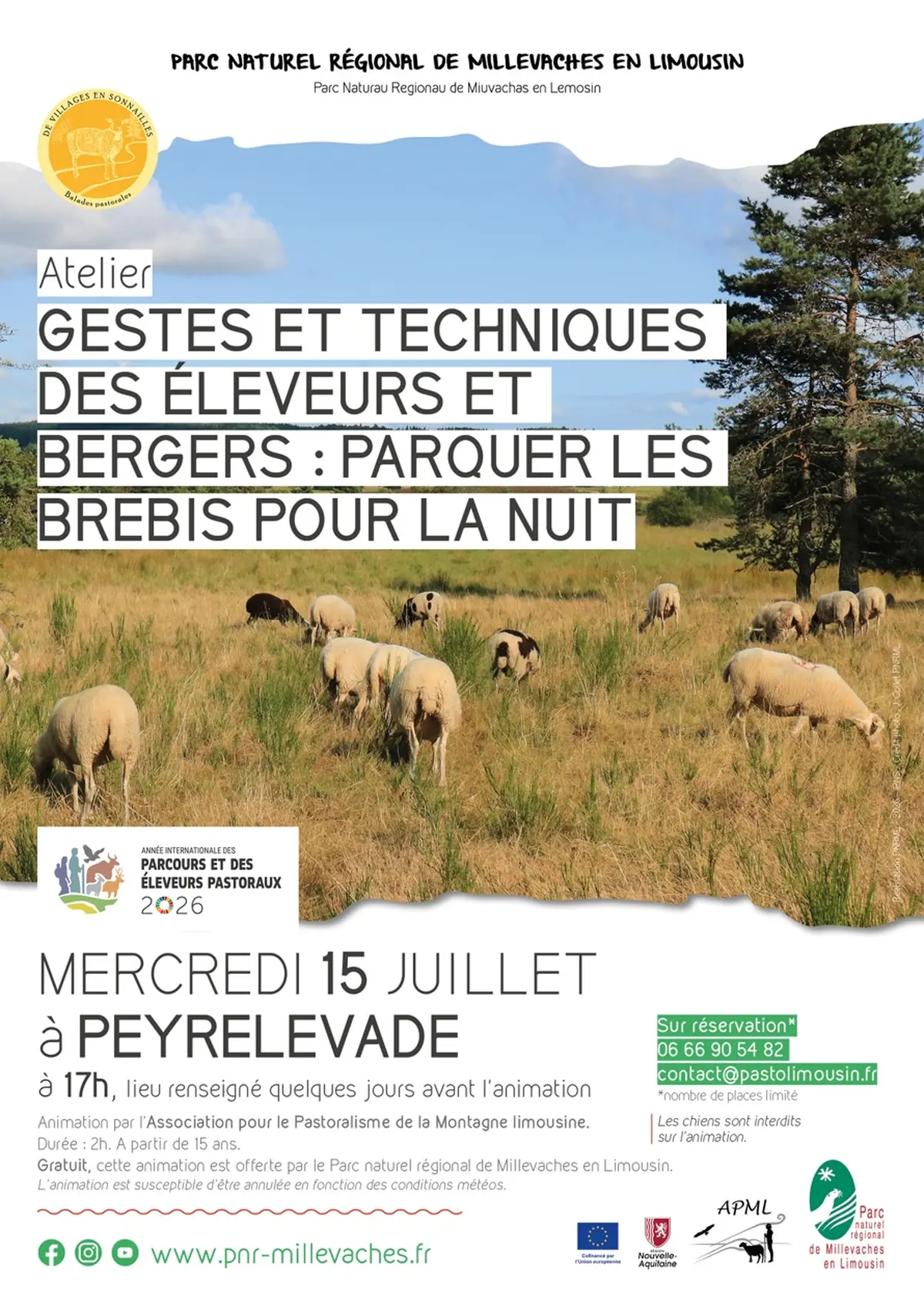 Gestes et techniques des éleveurs et bergers : parquer les brebis pour la nuit