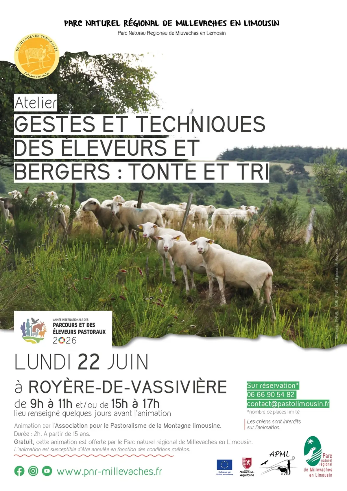Gestes et techniques des éleveurs et bergers : tonte et tri
