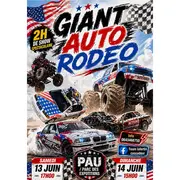 Giant Auto Rodeo