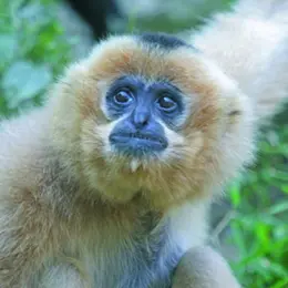 Dans les coulisses du zoo de Mulhouse
