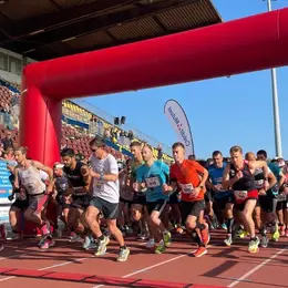 Top 6 des idées sorties pour ce week-end à Mulhouse (du 2 au 4 octobre 2026)