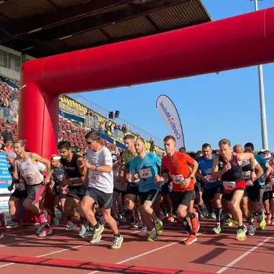 Mulhouse : nos 6 idées sorties du week-end