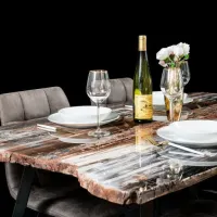 Table Showlow en bois fossilisé d'Arizona.  DR