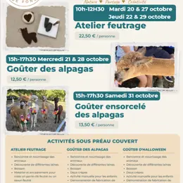Goûter avec les alpacas à Fons
