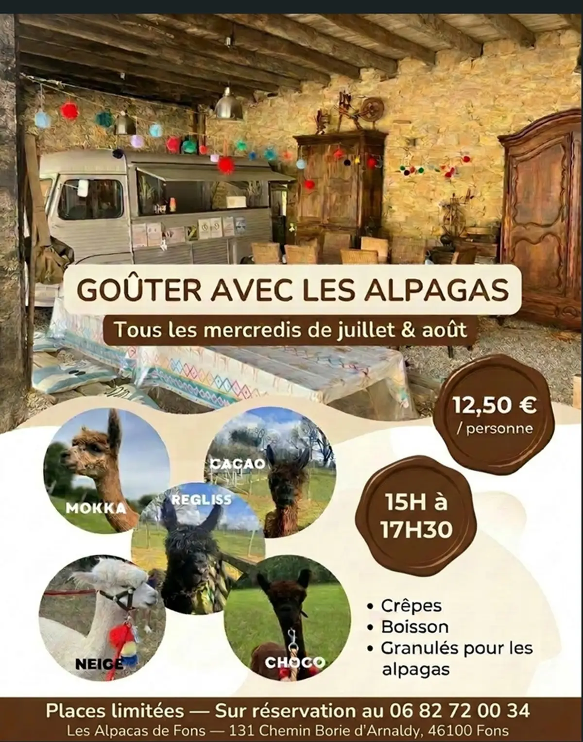 Goûter avec les alpagas