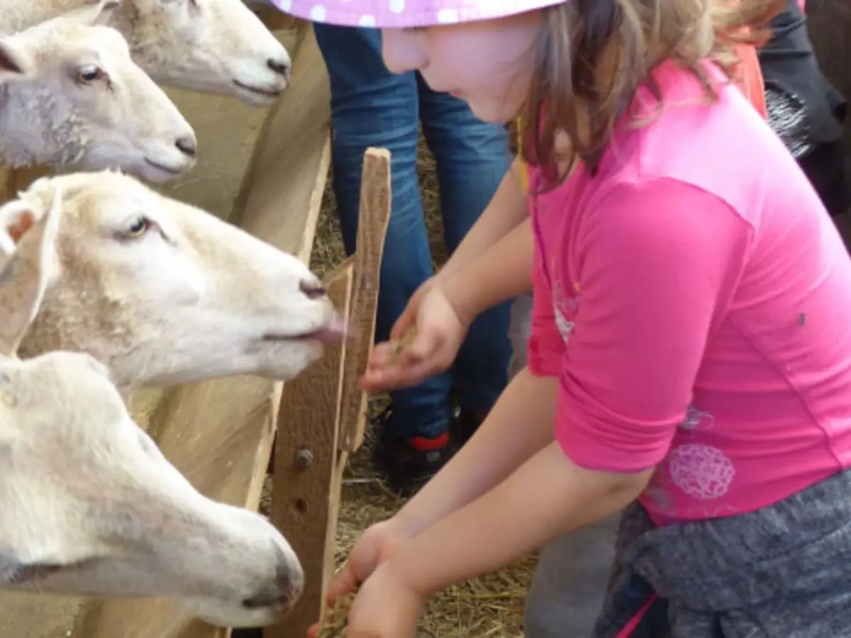 Goûter & visite de la ferme pédagogique de Monsieur Seguin (01)