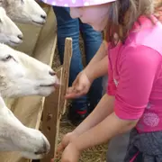 Goûter & visite de la ferme pédagogique de Monsieur Seguin (01)