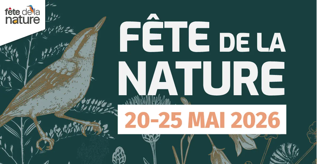 Goûter ludique et artistique autour de la nature