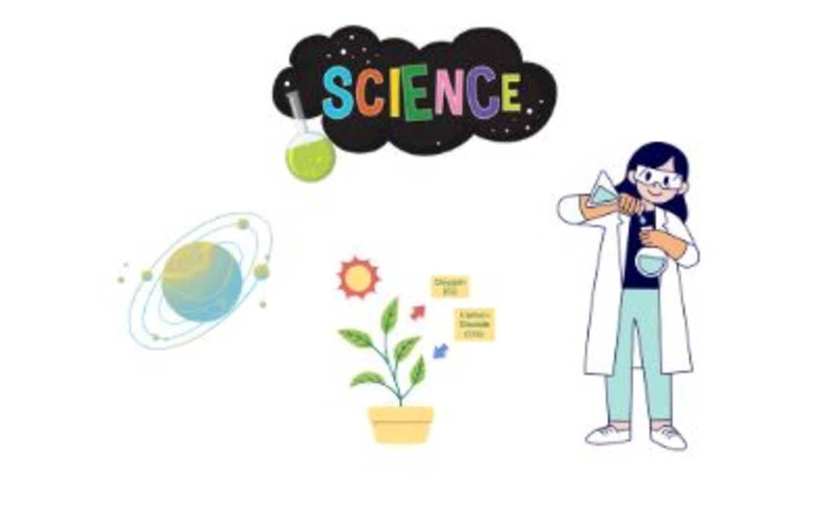 Graine de science : De la graine à la plante !