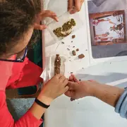 Graines de Moutards, visite atelier enfant : Osiris Végétant au musée Champollion Figeac