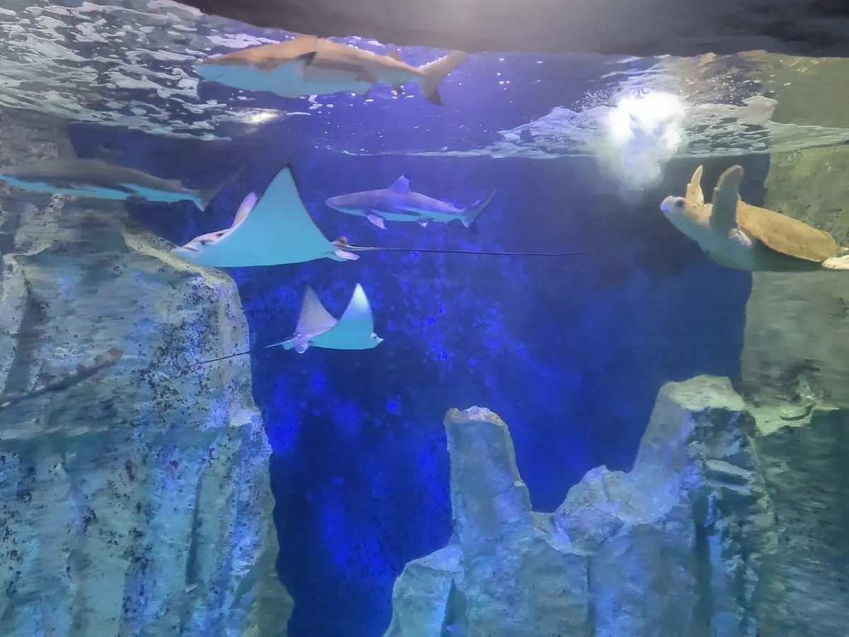 Grand Aquarium de Saint Malo