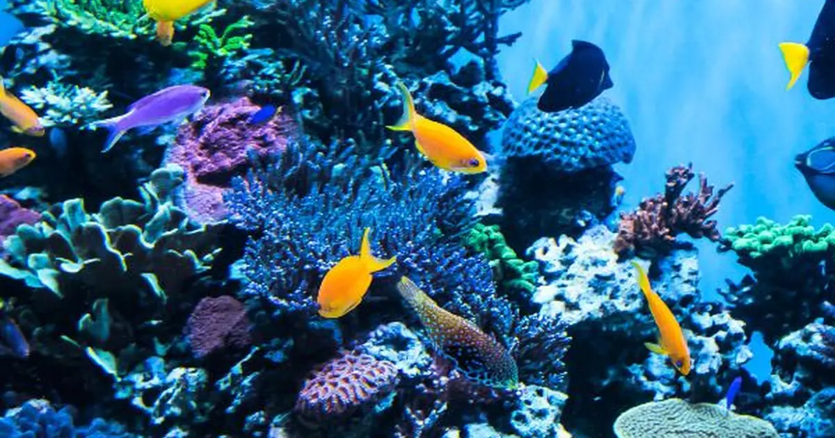 Grand Aquarium de Saint Malo