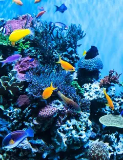 Grand Aquarium de Saint Malo