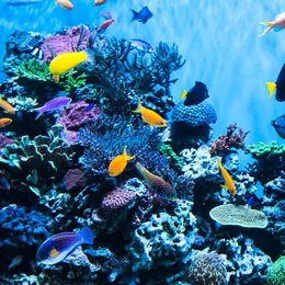 Grand Aquarium de Saint Malo