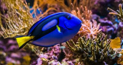 Grand Aquarium de Saint-Malo