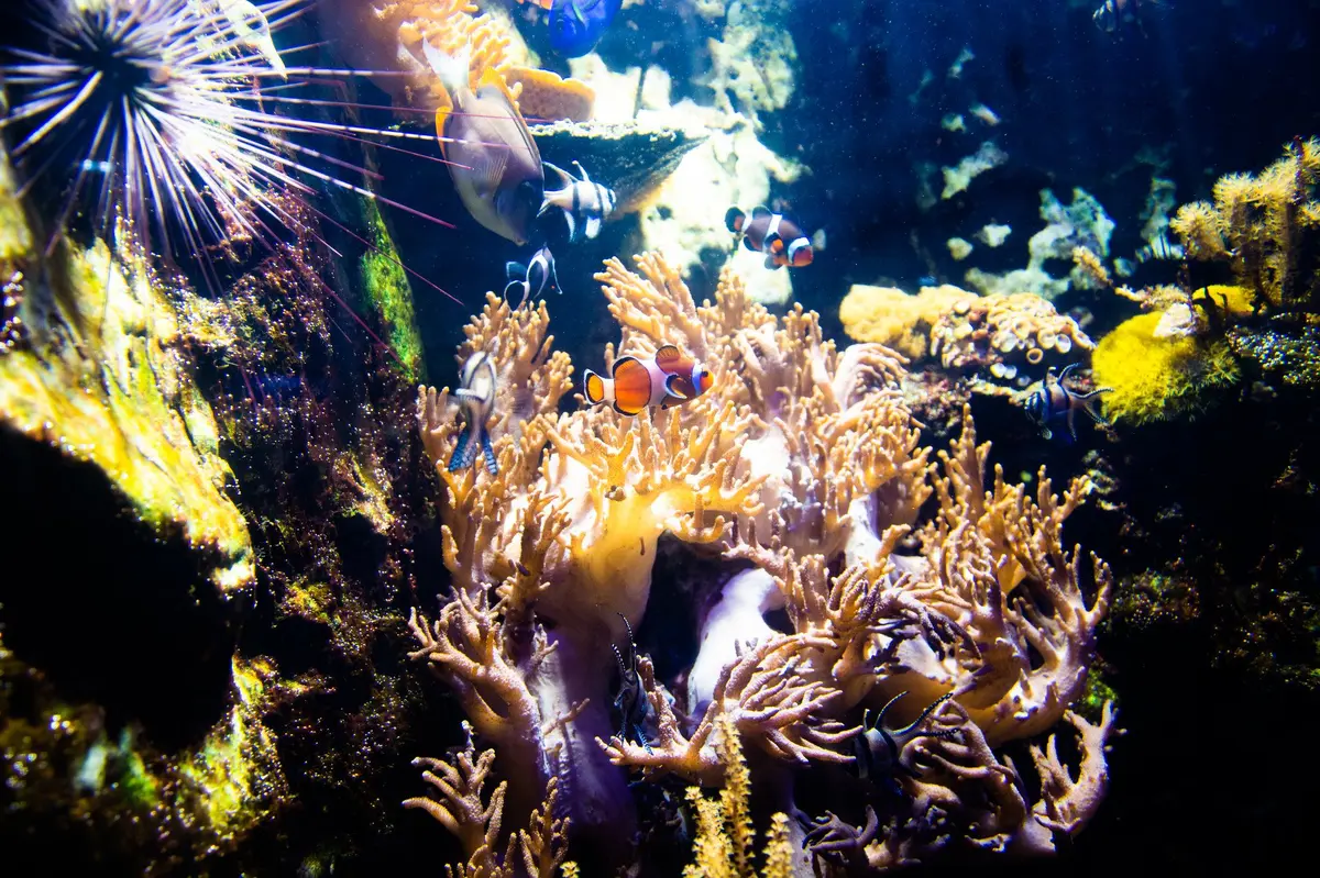 Grand Aquarium de Saint Malo