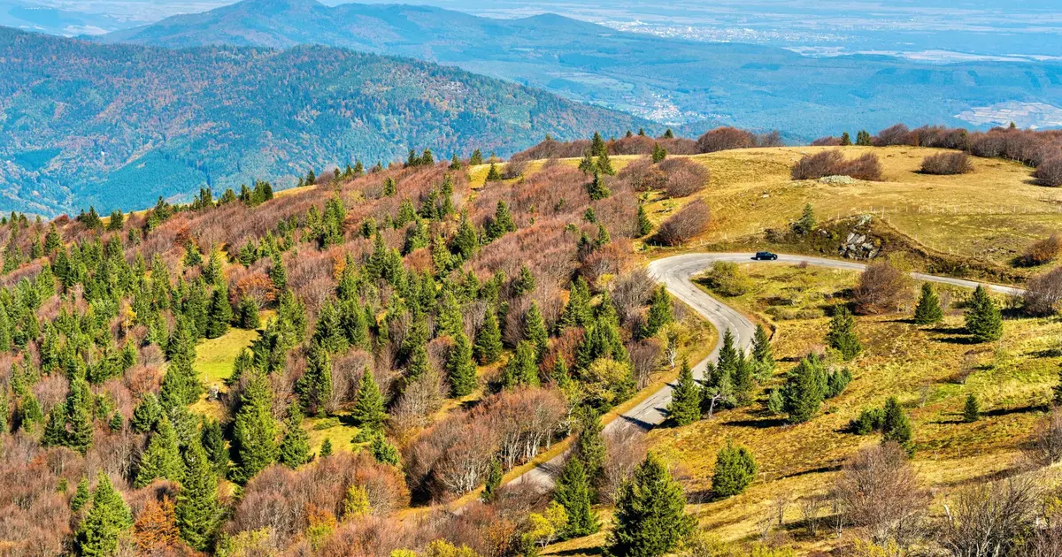 La montée du Grand Ballon