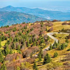 Grand Ballon