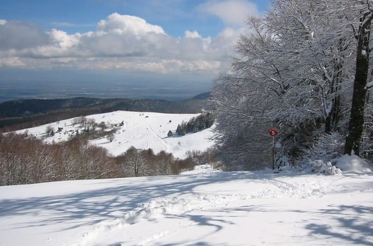 Grand Ballon (1050 à 1350 m)