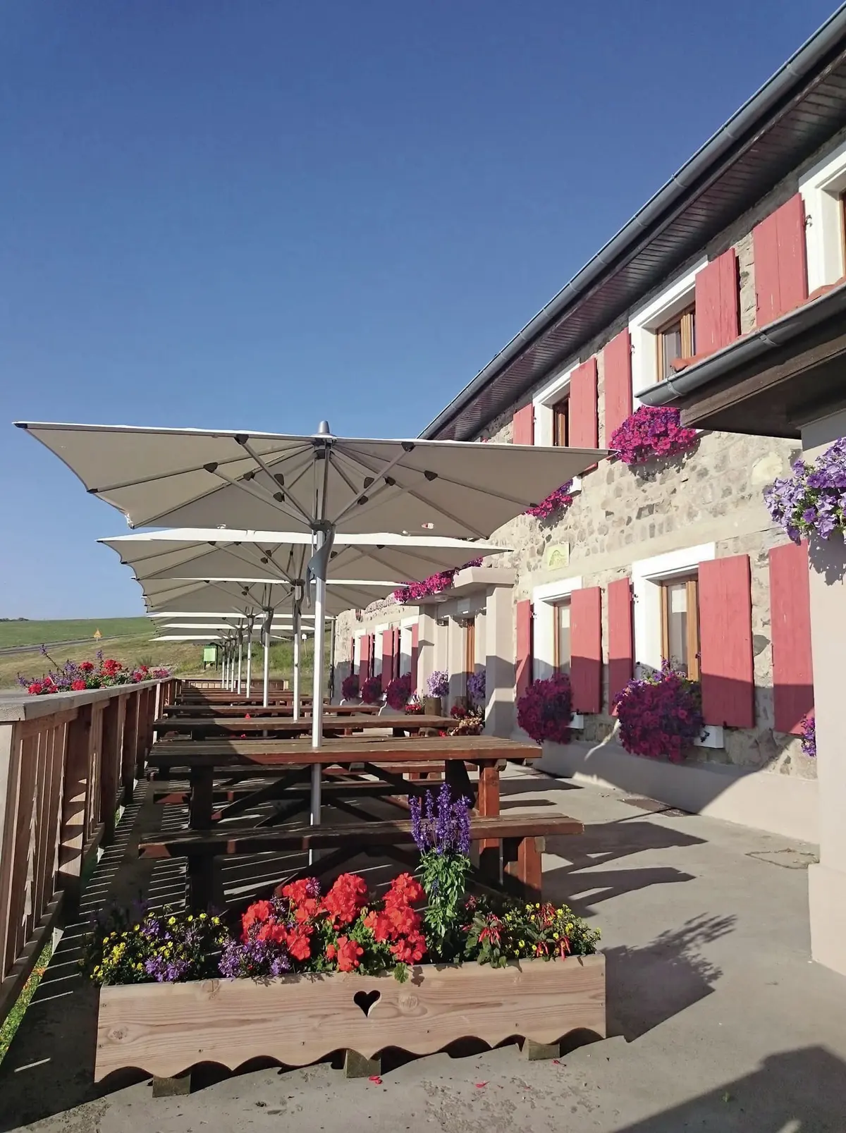 Grand Ballon & gastronomie au sommet