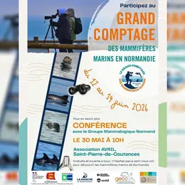 Grand comptage des mammifères marins de Normandie