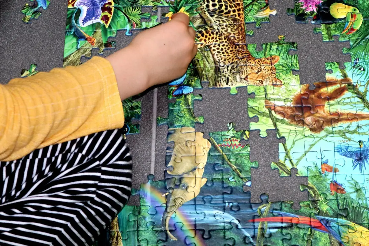 Grand concours de puzzle